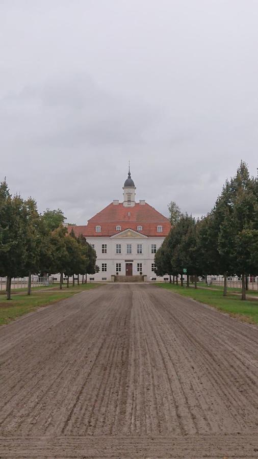 Fewo In Neustadt/Dosse, Der Stadt Der Pferde Leddin Экстерьер фото